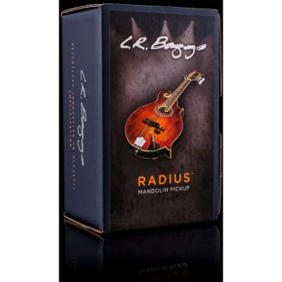 LR Baggs RADM Radius Mandolin Pickup w/ JACK for sale