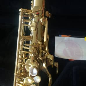 Selmer Omega MG288 Alto Saxophone image 6