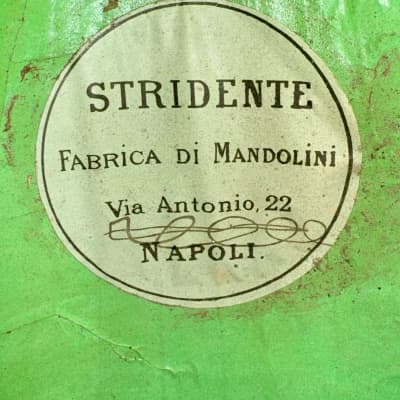 Stridente Student Mandolin 1900's image 16