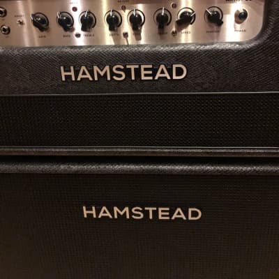 Hamstead Artist 60+RT Head and Matching 2x12 Cab 2020 - Snakeskin image 2