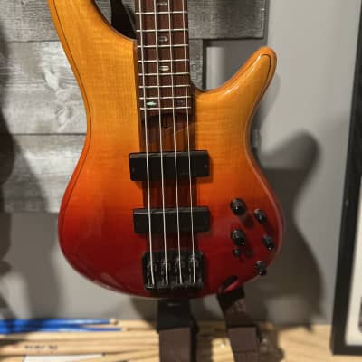 Ibanez SR800 AM 4 String Bass - Amber Repack Retail Box 606559801688 |  Reverb