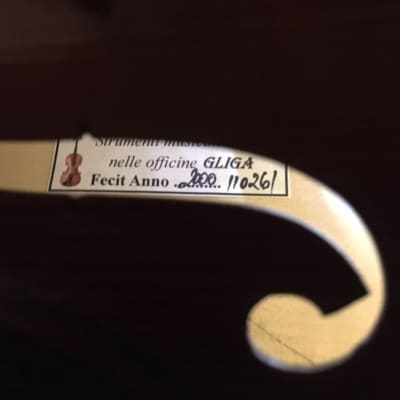 Gliga Workshop GEMS 1 15.5