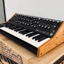 Moog Subsequent 37 • Like New In Box