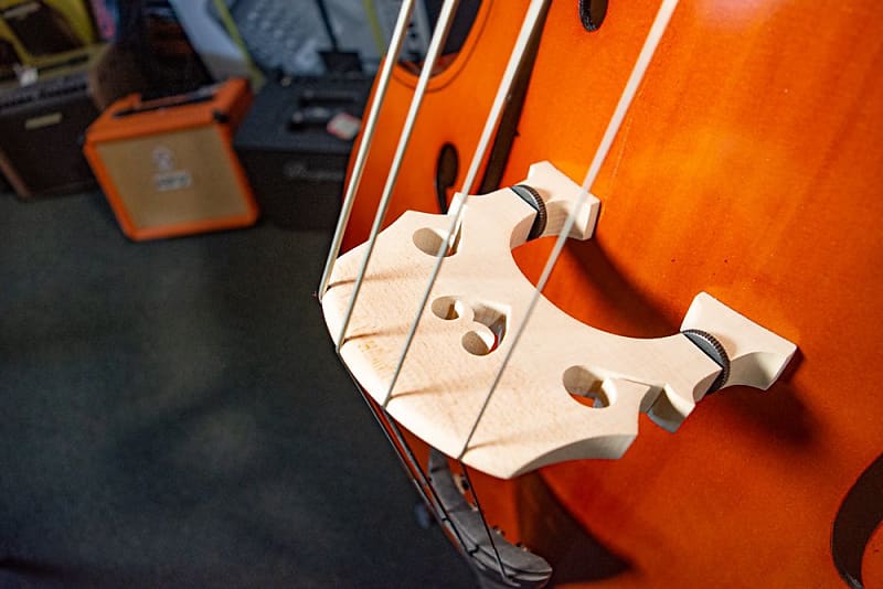 Palatino VB004 Upright Bass Reverb