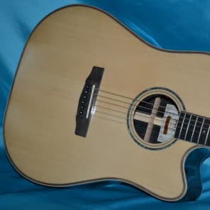 Cort AS-M5 Acoustic Electric, Solid Spruce and Rosewood, Fishman Ellipse Blend Matrix, Case Included image 1