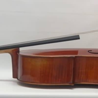 Eastman 4/4 Cello VC605St 2019 Antiqued Spirit Varnish image 3