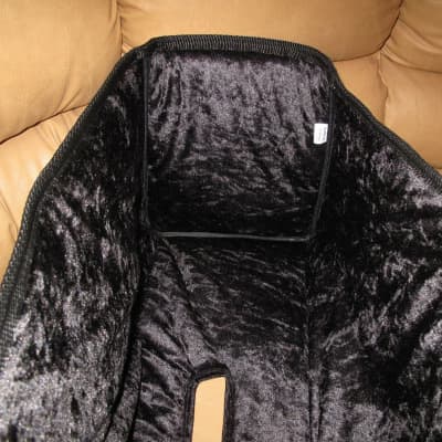 Custom padded cover for ENGL Slow Hand Motion Limited head amp image 5