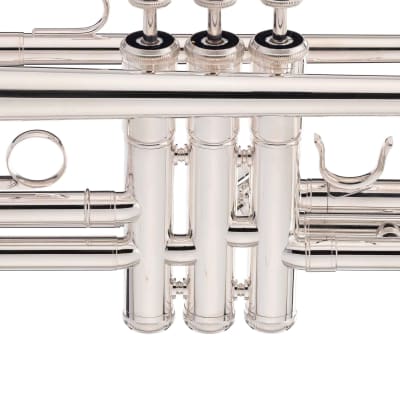 Intermediate Trumpet - brass image 10