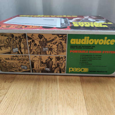 Bizarre Paso TA 2 Audiovoice image 11