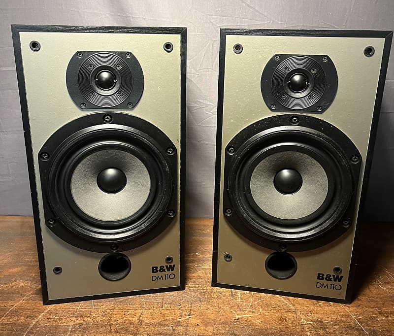 Bowers and wilkins sales dm110