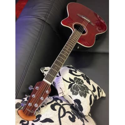 OVATION CS24-RR-G Celebrity Standard Mid Roundback Elektro-Akustik-Gitarre, ruby red for sale