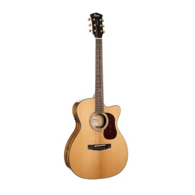 Cort Gold Series OC6 Orchestra Bocote Acoustic-Electric Guitar - Natural Gloss for sale