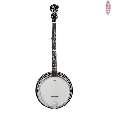 Ibanez 5 String Banjo Mahogany Resonator - Mahogany for sale