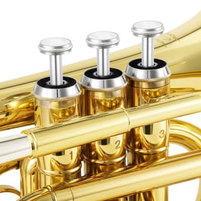 Standard Pocket Trumpet Bb Full Kit With Case & Accessories Bundle image 7