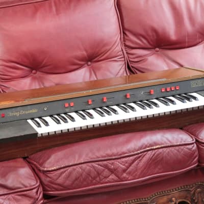 ARP Solina String Ensemble Polyphonic Analog Synthesizer 1974 - 1979 - Black