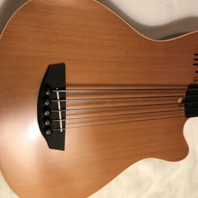 Godin A5 Ultra Semi-Acoustic Fretless 5-String Bass Natural image 10