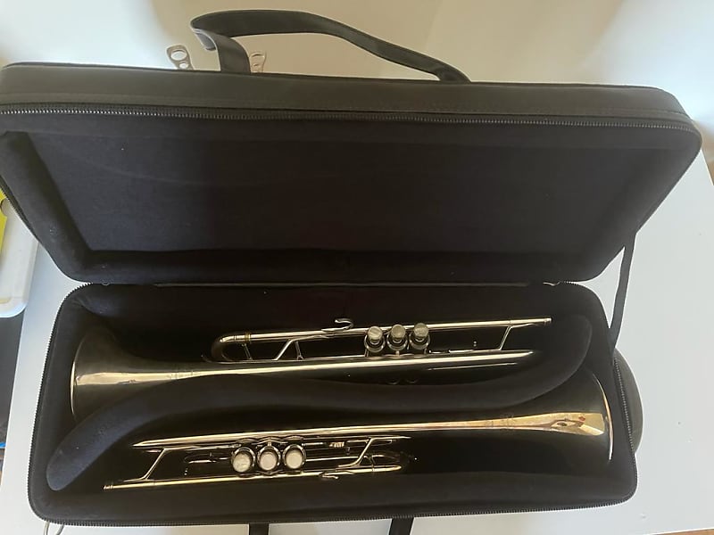 Double trumpet Case fiberglass Reverb