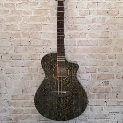 Rainforest S Concert Breedlove Acoustic Electric Guitar (King of Prussia, PA)  (TOP PICK) image 1