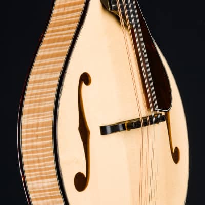 Collings MT2 Blonde Italian Spruce and Flamed Maple Mandolin with Pickguard NEW image 6