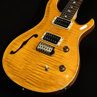 Prs Guitars Ce 24 Semi-hollow 