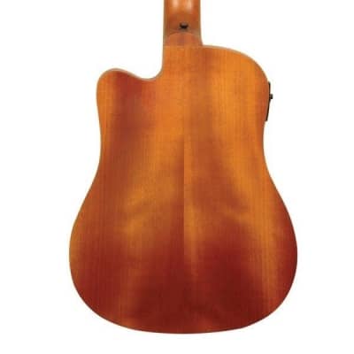Gold Tone M-BASS Micro Bass 36" Electric Acoustic Bass Guitar with Gig Bag image 2