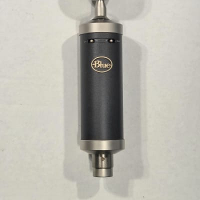 最終値下げ】BLUE Baby Bottle SL【USED】 Blue Baby Bottle Mic | eBay