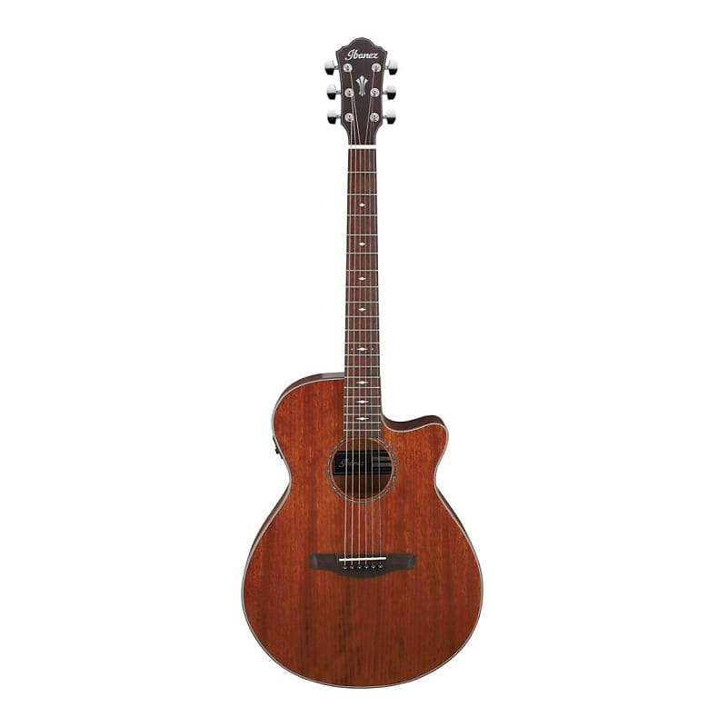 Ibanez AEG220 6-String Acoustic-Electric Guitar (Right-Hand, Natural Low Gloss) image 1
