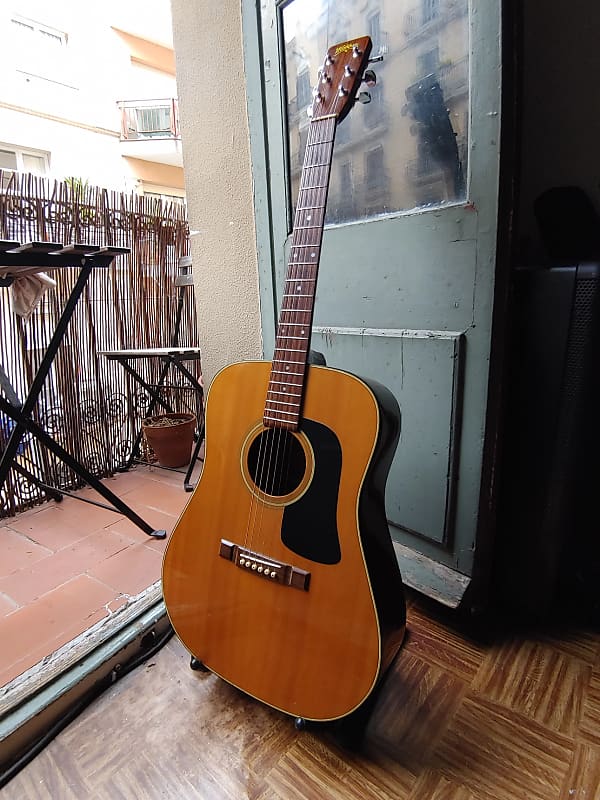 Washburn D15 Acoustic Guitar mij Japan 1981(Yamaki Build)