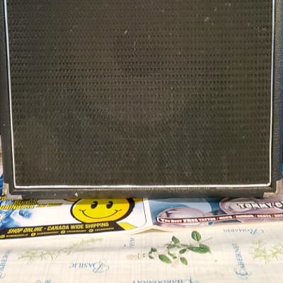 Garnet Mini Bass 1978 - Tube combo amp for sale