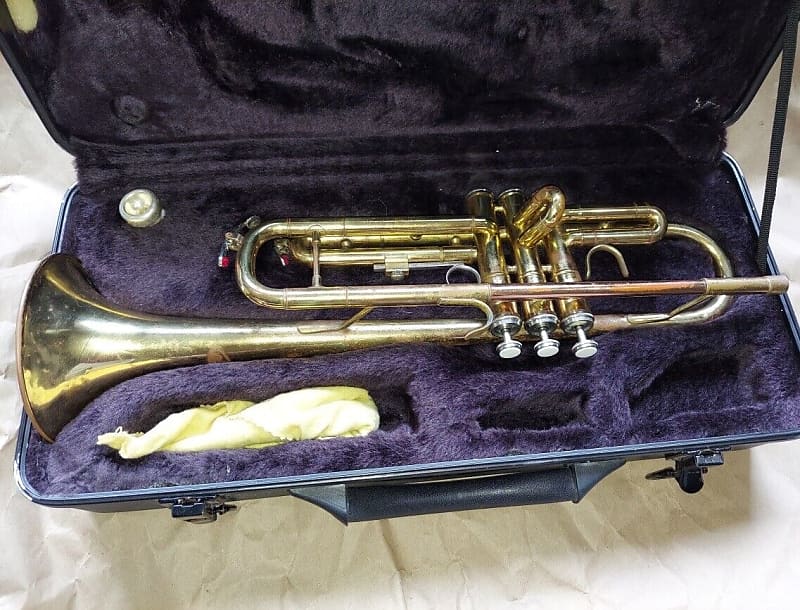 Sky Trumpet, USA, with case, Good Condition | Reverb