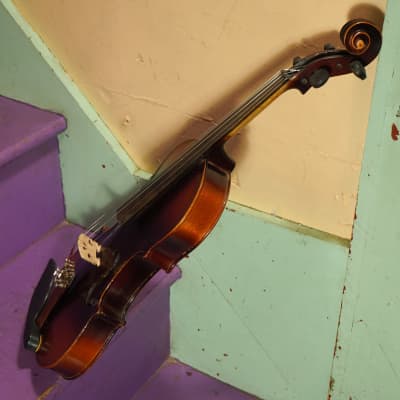 1930s Unknown Sunburst 4/4 Strad-Copy Violin (VIDEO! Fresh Work, Ready) image 12