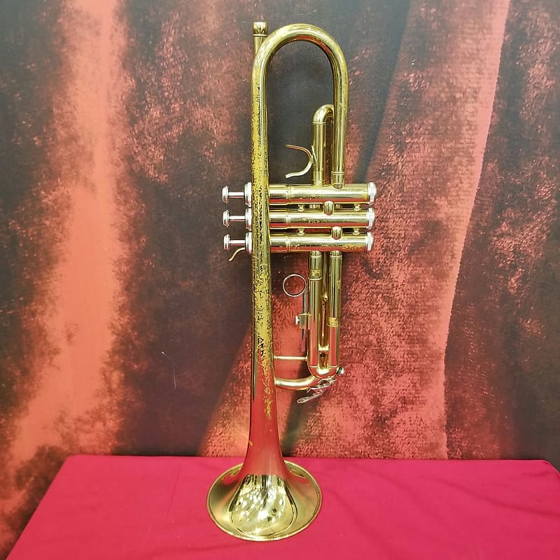 Benjamin Adams Beginner Trumpet (Sarasota, FL) Reverb