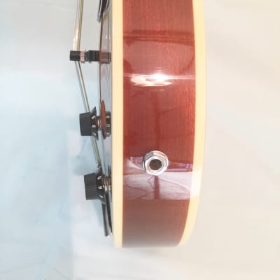 Stadium A-Style Acoustic/Electric Mandolin-Includes Setup-Case/Bag Available! image 7