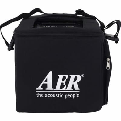 AER Alpha | 2 chnl 40-Watt 1x8" Acoustic Guitar Combo. New with Full Warranty! image 14