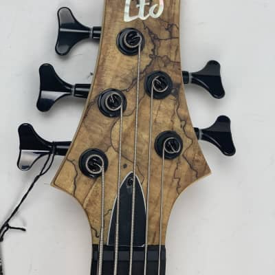 ESP LTD RB-1005SM Natural Satin NS 5-String Electric Bass + Free Gig Bag RB1005SM RB 1005 SM Rocco image 14