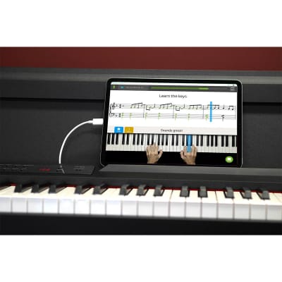 Korg LP-380U 88-Key Digital Piano (Black) image 5