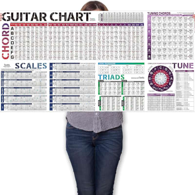Bass Guitar Chords Chart 4-String Guitar Chord Poster Bass Trainer Tool For  Beginners? Adults, Kids, Music Stuff
