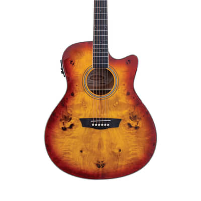 Washburn DFBACEA | Deep Forest Burl Grand Auditorium Ac / El Guitar, Amber Fade. New with Full Warranty! for sale