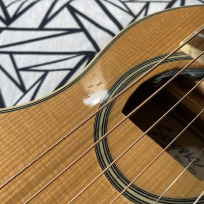 Segovia / TF-10 GN ” Tarvel Guitar “ image 4