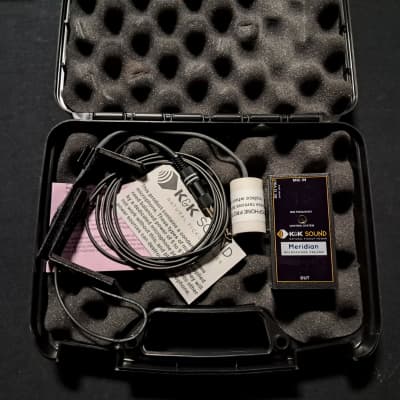 K&K Sound Bass Master RB Plus Rockabilly Upright Bass Pickup w