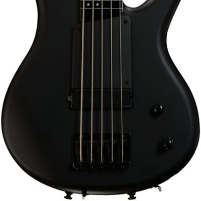 Ibanez Gary Willis Signature GWB35 Fretless 5-string Bass Guitar - Black Flat for sale
