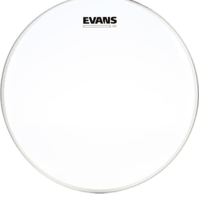 Evans 14" G1 Clear