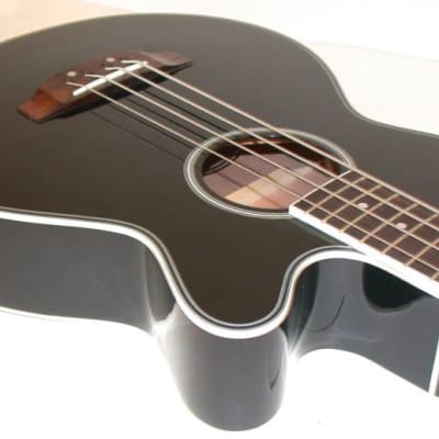 Oscar Schmidt OB100B Venetian Cutaway Mahogany Neck 4-String Acoustic-Electric Bass Guitar w/Gig Bag image 5