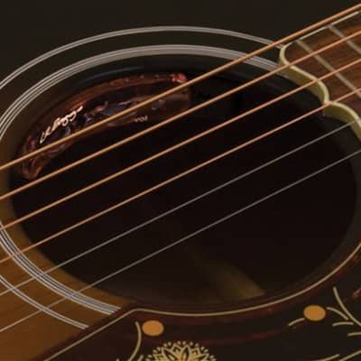 LR Baggs SessionVTC Acoustic Guitar Pickup System image 6