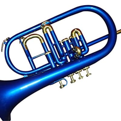 Sai musicals India Bb low pitch brass musical instrument FLUGEL Horn 4v blue brass made image 3