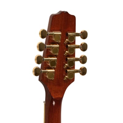Gold Tone OM-800+ Arched Solid Spruce Top Octave & Mahogany Neck Mandolin with Hardshell Case image 11