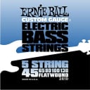 2810 Ernie Ball Flatwound 5 String Bass