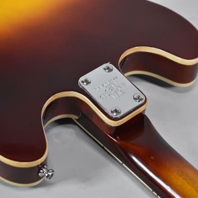 1960s Lyle Matsumoko 5102-T Sunburst Finish Hollowbody Electric Guitar image 9