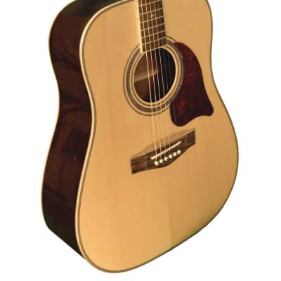 Revival  RG-24 Dreadnought Glossy Solid Spruce Top Rosewood Back & Sides 6-String Acoustic Guitar for sale