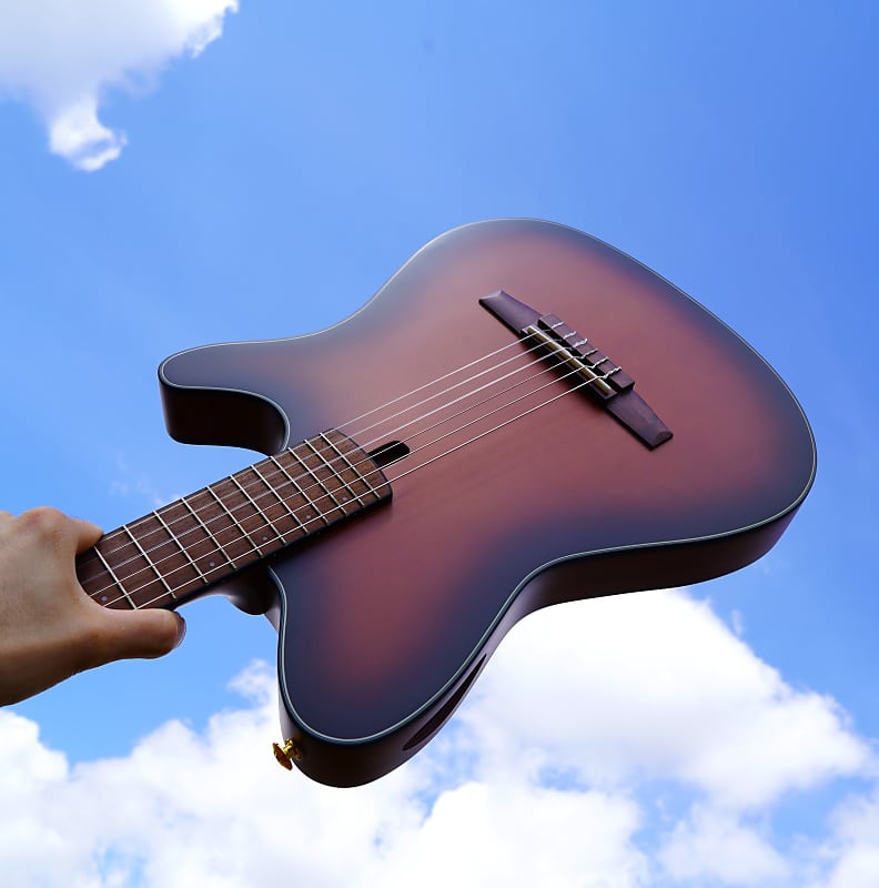 Ibanez Frh10n Ntf Thinline 6-string Nylon Acoustic-electric Guitar -  Natural Flat